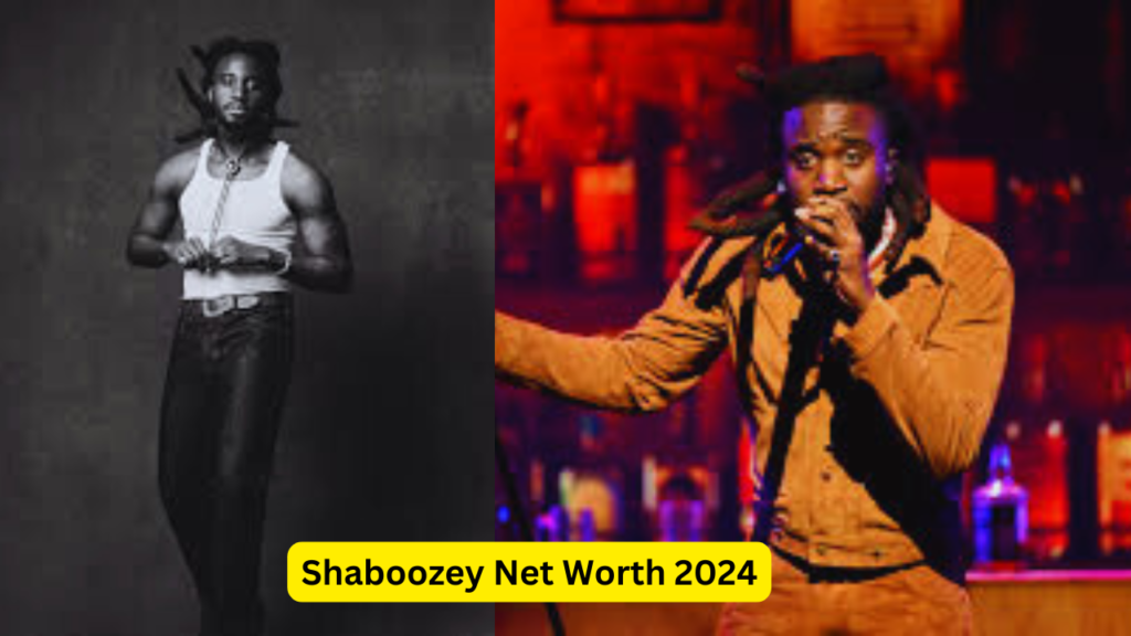 Shaboozey Net Worth 2024