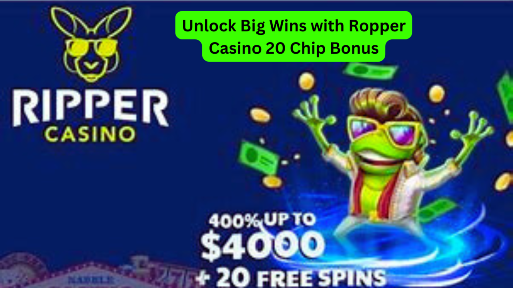 Ropper Casino 20 Chip